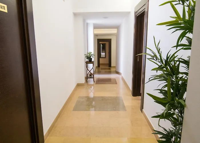 酒店 科托尼精品酒店 4*